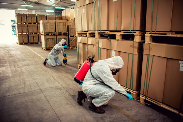 Best Wasp Removal Services  in Dallas, NC