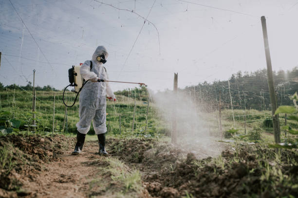 Best Commercial Pest Control Services  in Dallas, NC