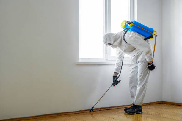 Trusted Dallas, NC Pest Control Experts