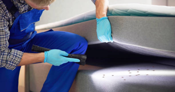 Best Pest Prevention Services  in Dallas, NC