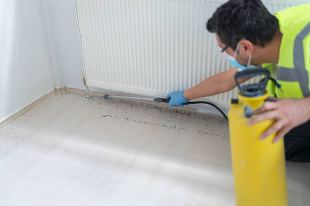 Trusted Dallas, NC Pest Control Experts